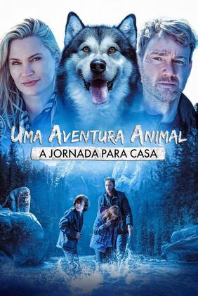 Uma Aventura Animal: A Jornada para Casa